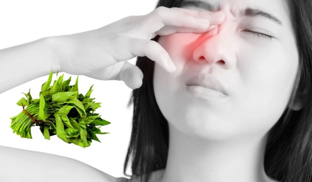 Bạn vẫn có thể ăn rau muống khi đang bị mắt đỏ nếu không bị dị ứng
