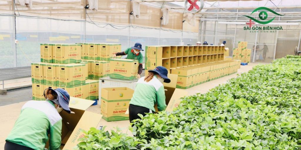 Đơn hàng nông nghiệp thường không đòi hỏi cao về thị lực