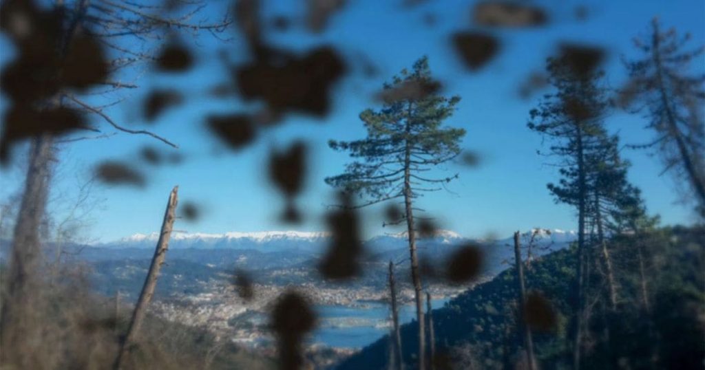 Người có sẹo ở võng mạc có thể có các mảnh đen bay lơ lửng trước mắt