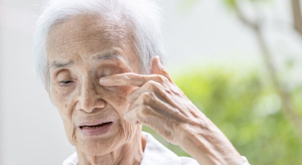 Các bệnh lý đáy mắt thường gặp ở người lớn tuổi