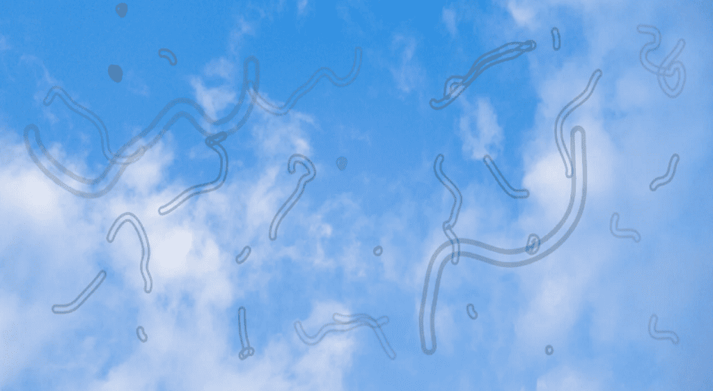 Thấy các đường mảnh trôi trước mắt là triệu chứng thường thấy của xuất huyết võng mạc