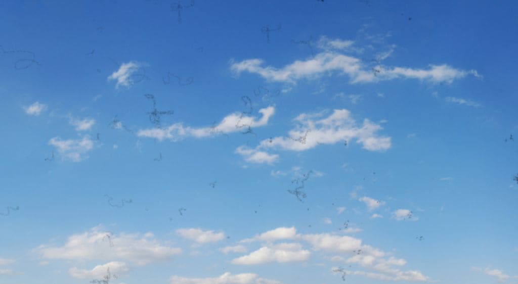 Tầm nhìn của người đang gặp hiện tượng ruồi bay khi bị xuất huyết đáy mắt