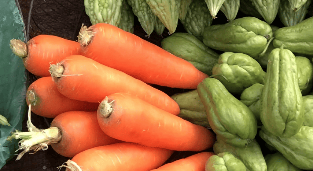 Xuất huyết mắt nên ăn cà rốt và các loại thực phẩm giàu vitamin A khác