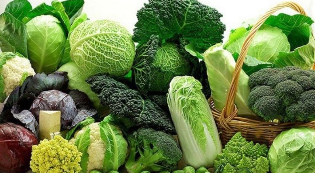 Các loại rau xanh đậm chứa nhiều Lutein, Zeaxanthin giúp bảo vệ giác mạc mắt