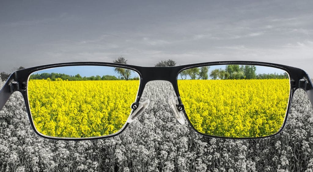 Kính lọc màu là công cụ hỗ trợ cải thiện khả năng nhận diện màu sắc