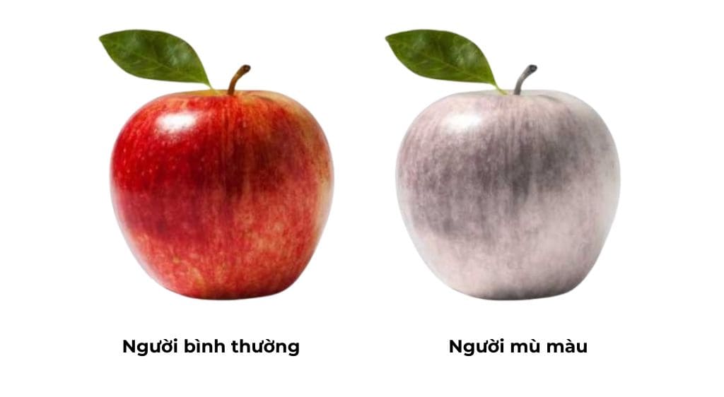 Người mù màu không thể phân biệt được màu sắc thực phẩm