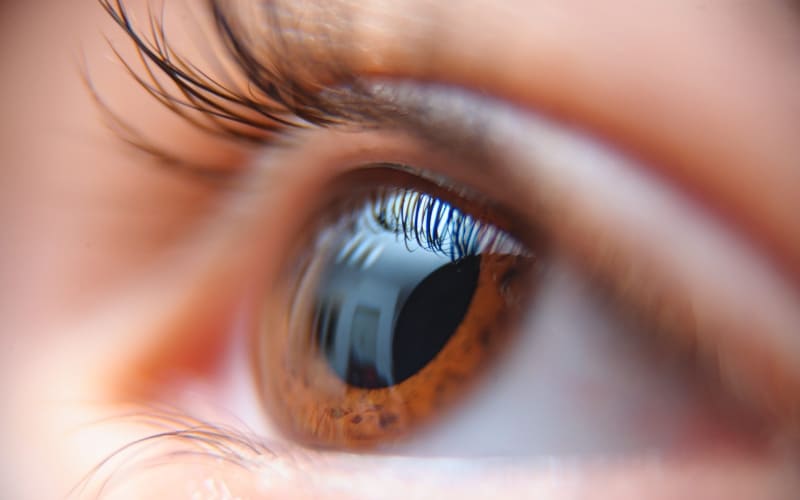 Độ dày giác mạc được đo bằng khoảng cách từ lớp biểu mô tới nội mô giác mạc