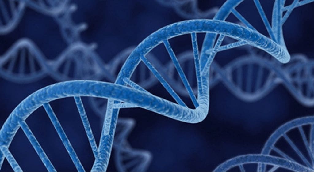 Nguyên nhân chính gây loạn dưỡng giác mạc chủ yếu do yếu tố di truyền