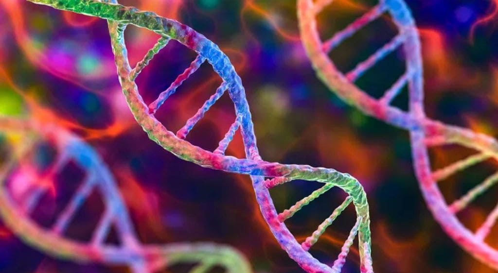 Yếu tố di truyền khiến giác mạc không duy trì được trạng thái khô ráo, gây đục giác mạc