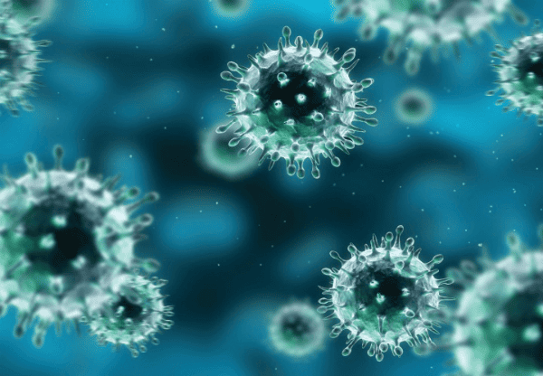 Hình ảnh minh họa EPSTEIN-BARR VIRUS (VIRUS EBV)