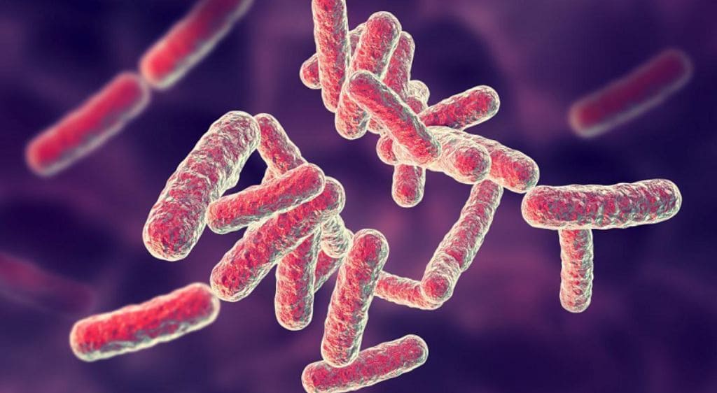 Nhiễm khuẩn do các vi khuẩn tụ cầu, liên cầu hoặc phế cầu có thể dẫn đến áp xe tuyến lệ