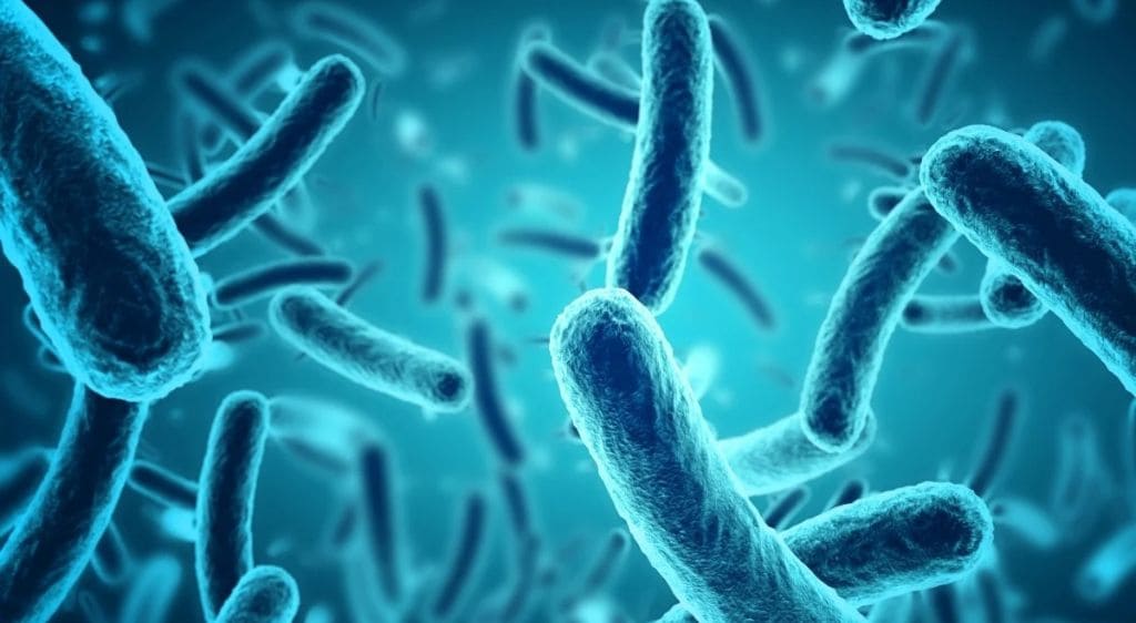 Nhiễm trùng là một trong những nguyên nhân dẫn đến tắc tuyến lệ ở trẻ sơ sinh