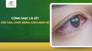 Củng mạc là gì
