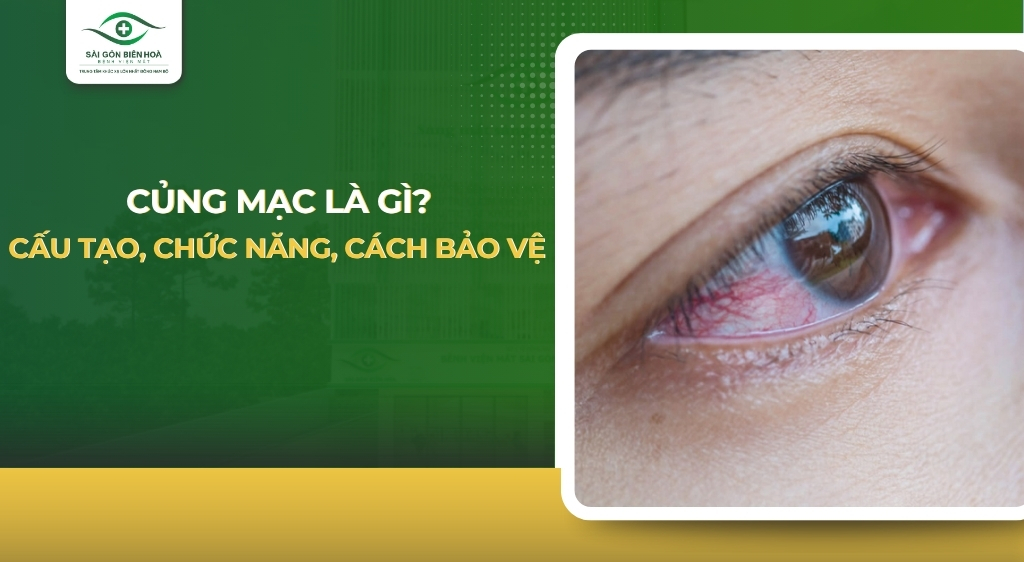 Củng mạc là gì