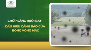 chớp sáng ruồi bay