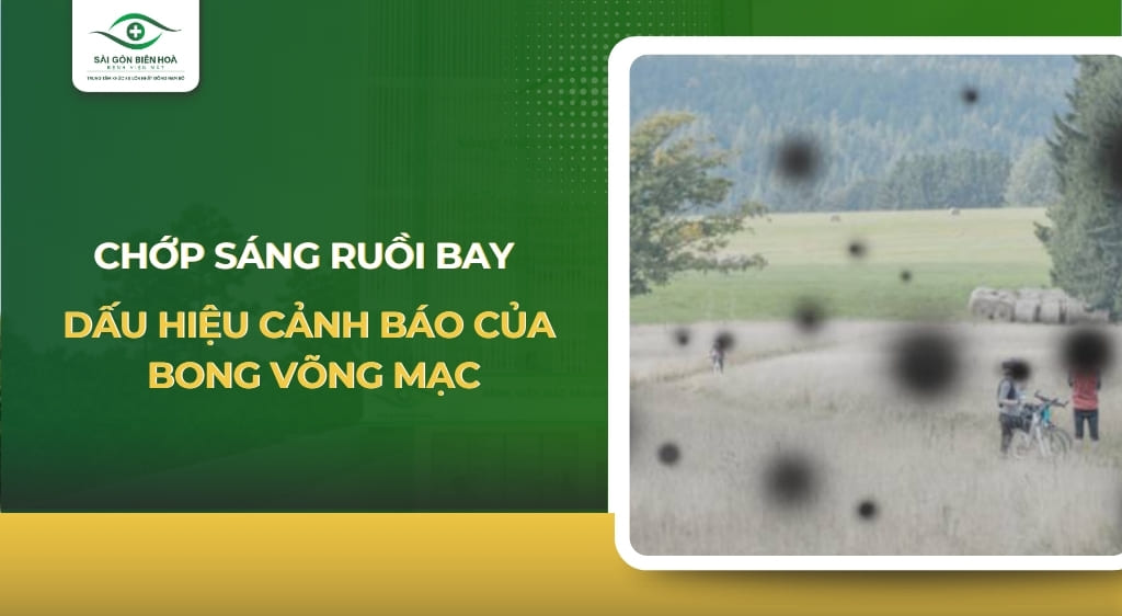 chớp sáng ruồi bay