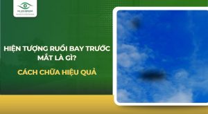 Ruồi bay trước mắt