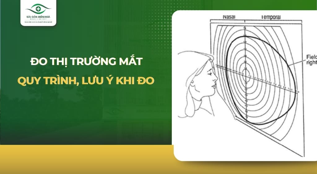 đo thị trường
