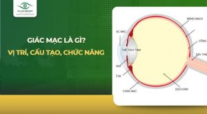 giác mạc
