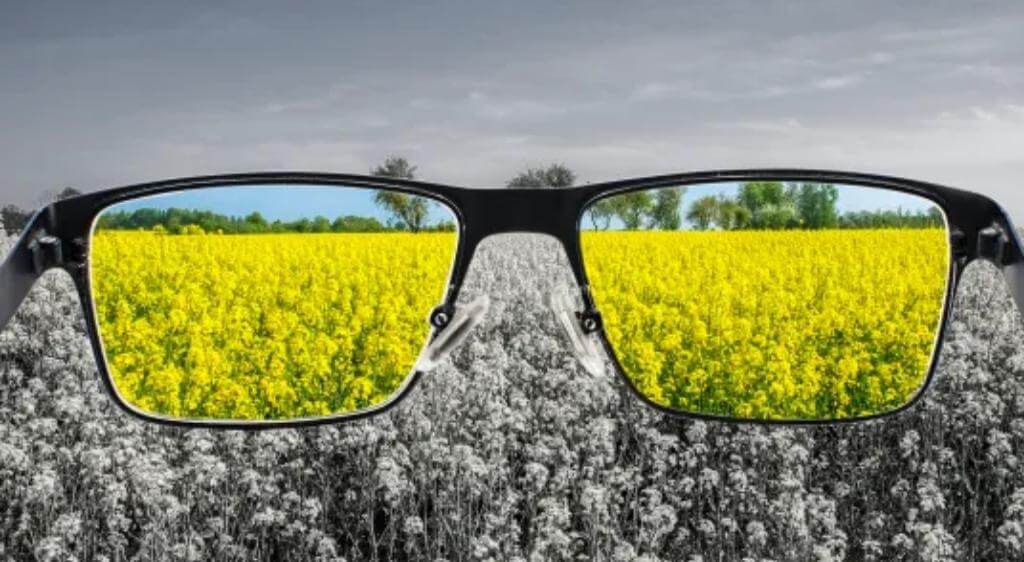 Kính lọc màu (Color-filtering glasses) là giải pháp giúp hỗ trợ tăng độ tương phản giữa các nhóm màu
