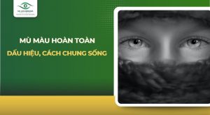 mù màu hoàn toàn