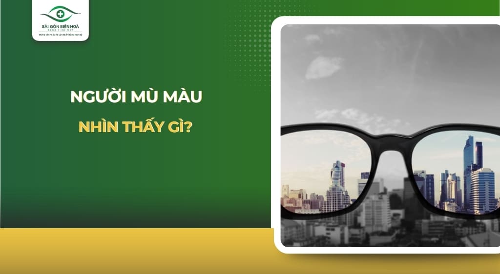 Người mù màu nhìn thấy gì
