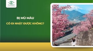Bị mù màu có đi Nhật được không