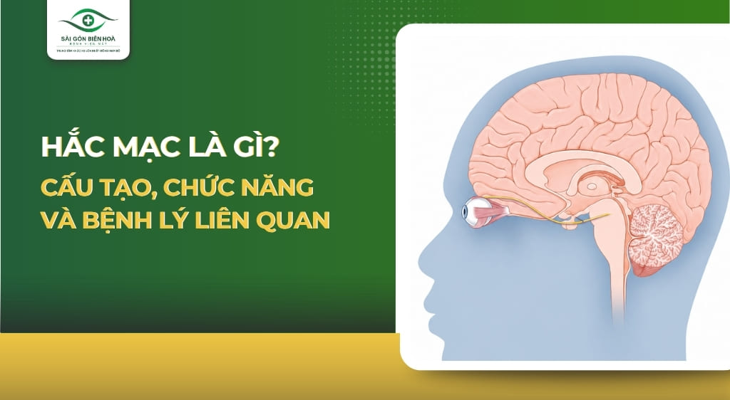Dây thần kinh số 4
