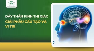 Dây thần kinh thị giác