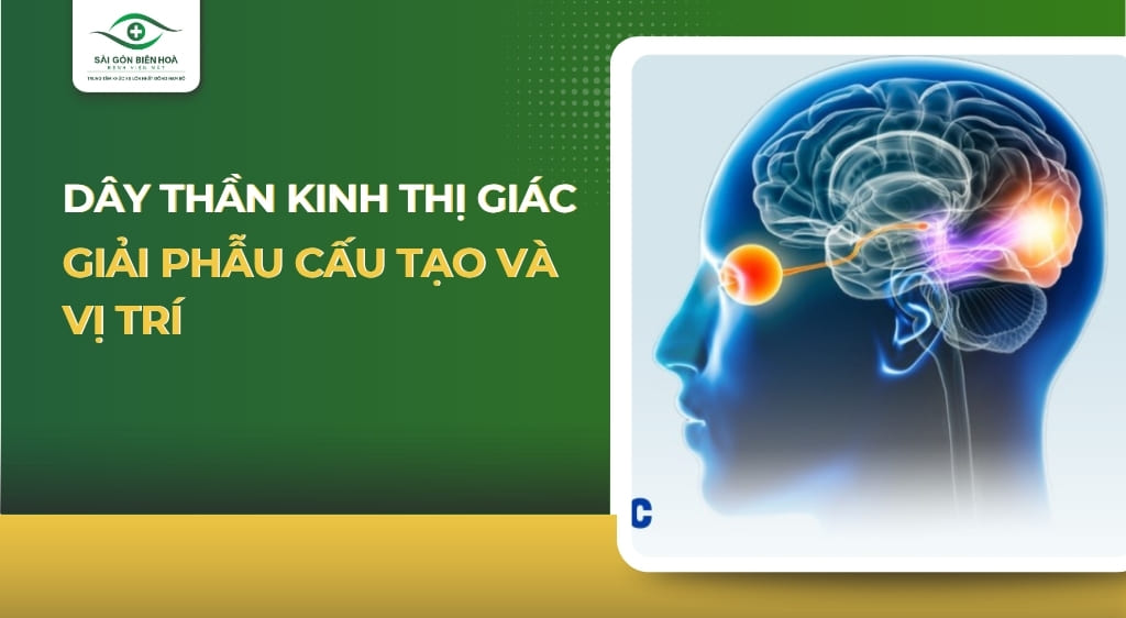 Dây thần kinh thị giác