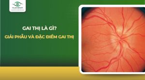 gai thị
