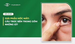 Giải phẫu hốc mắt: Cấu trúc bên trong gồm những gì?
