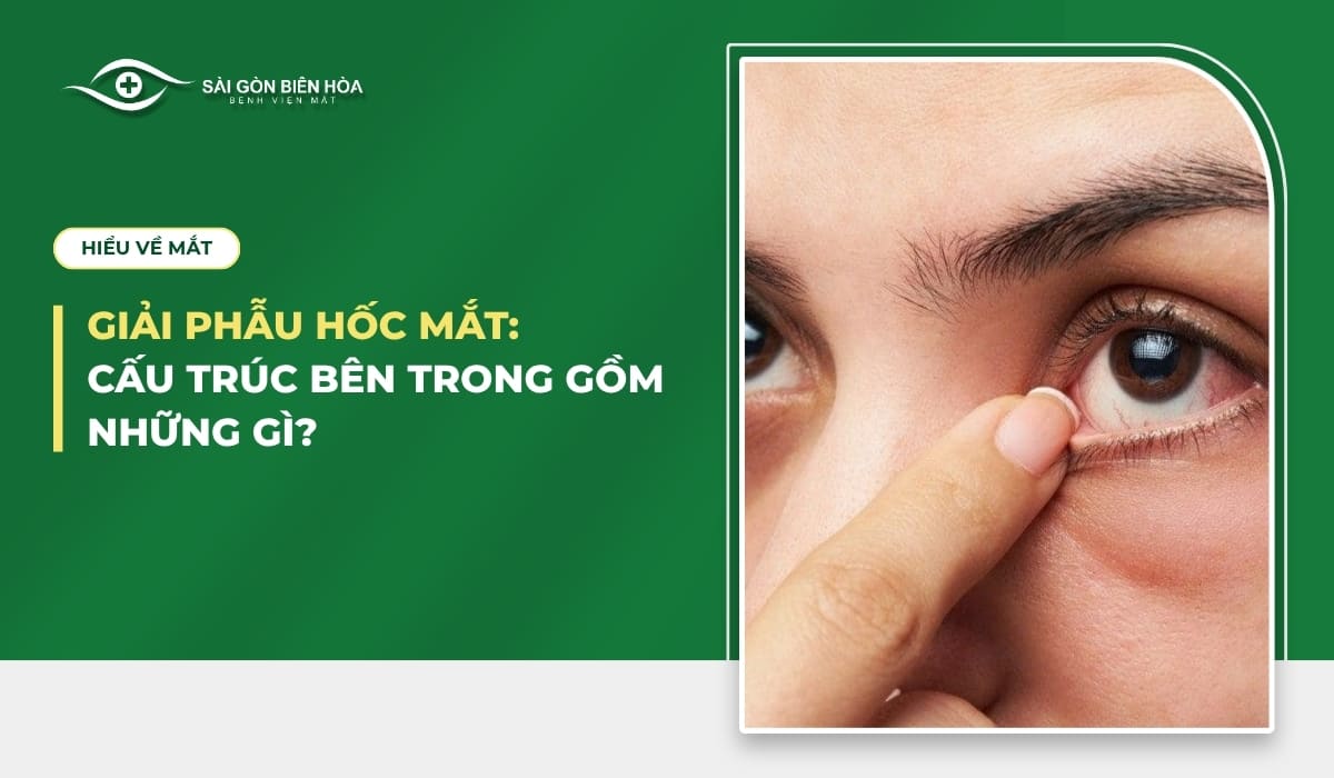 Giải phẫu hốc mắt: Cấu trúc bên trong gồm những gì?
