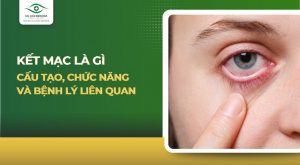 Kết mạc là gì? Cấu tạo, chức năng và bệnh lý liên quan