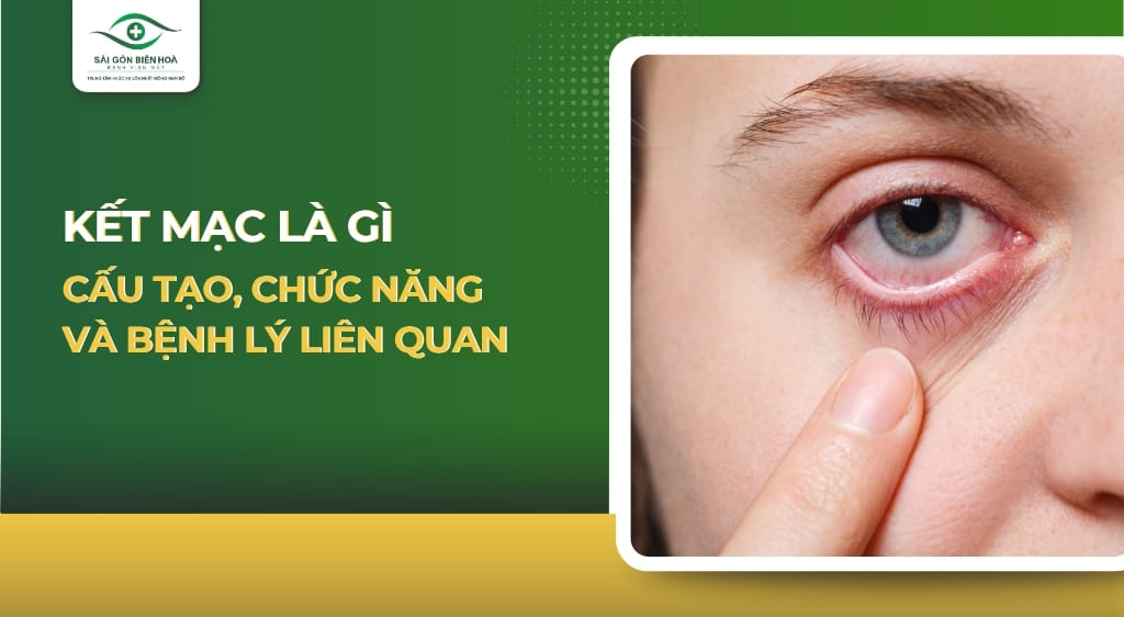 Kết mạc là gì? Cấu tạo, chức năng và bệnh lý liên quan