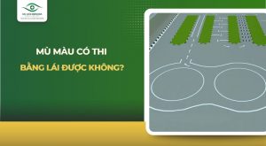 Mù màu có thi bằng lái được không