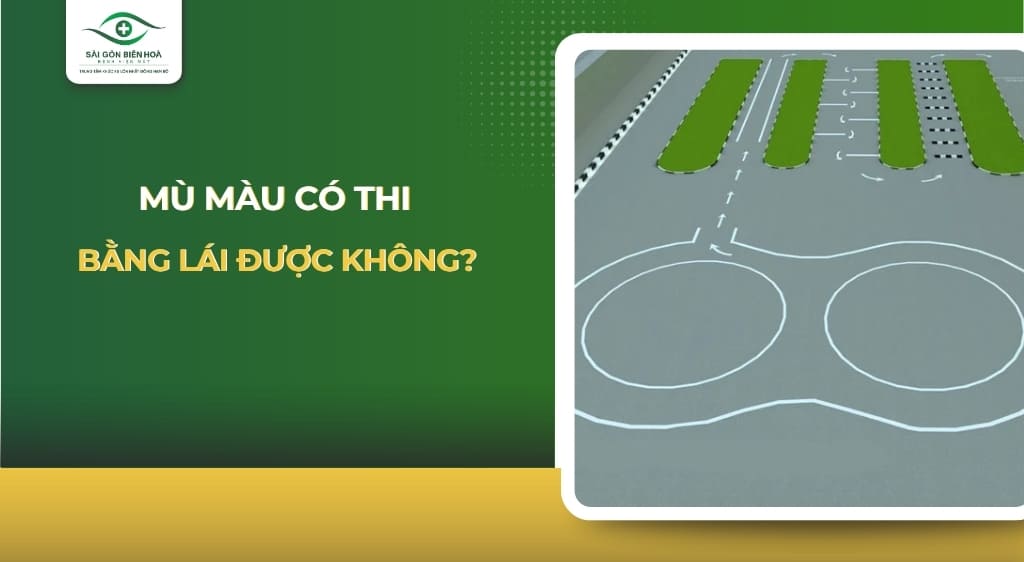 Mù màu có thi bằng lái được không
