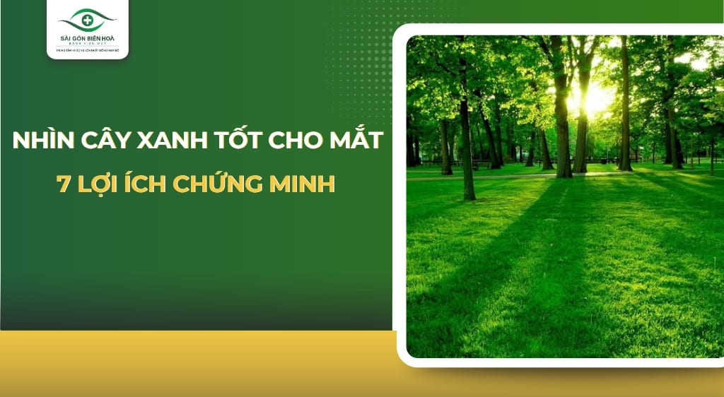 Nhìn cây xanh tốt cho mắt