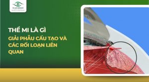 Thể mi là gì