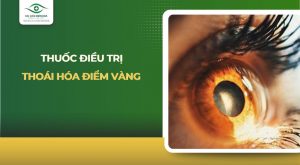 Thuốc điều trị thoái hóa điểm vàng