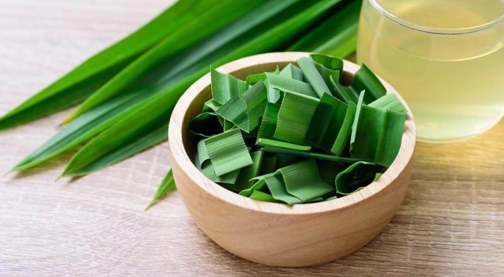 Không dùng nước lá dứa thay thế thuốc hoặc phác đồ bác sĩ chỉ định.