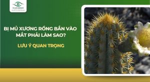 mủ xương rồng bắn vào mắt​