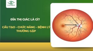 Đĩa thị giác